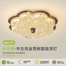 ������픟��й��L�p�ݸ߼��н𲭘�֬���⻨�Ώ͹ź���ľ�y���ԟ�