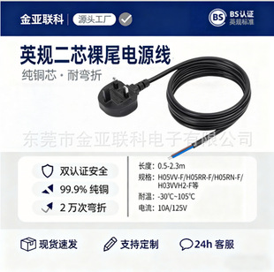 ӢҎ����2о��β�Դ�����~PVC��ȼ�����U�z�^BS�J�C���a����B��