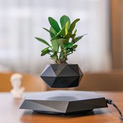 KJ オフィスリビングルームデスクトップクリエイティブ装飾品ファッション鉢植え小さな植物磁気浮上鉢植え卸売