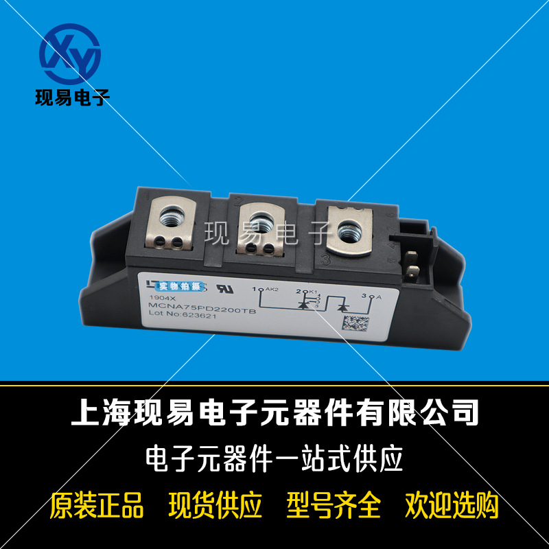 MCNA75PD2200TB全新原装正品德国IXYS艾赛斯可控硅模块现货直销