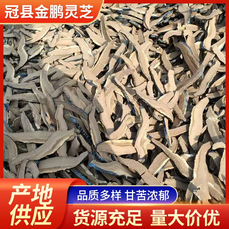 黑灵芝片灵芝片批发整枝切片厂家现货供应植物黑灵芝切片