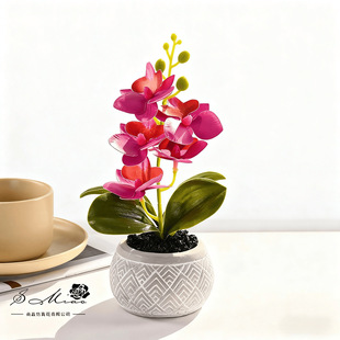 Small 5-Flower Phalaenopsis Bonsai Artificial Flower Fashion Creative Flower Decoration Ornaments Artificial Green Plant Artificial Small Potted Plant