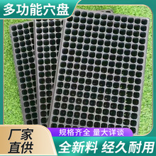 �o��ƽ�P�п��бP