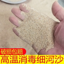 天然河沙种植沙乌龟冬眠鱼缸造景水泥沙子石英砂玩具沙细沙粗沙