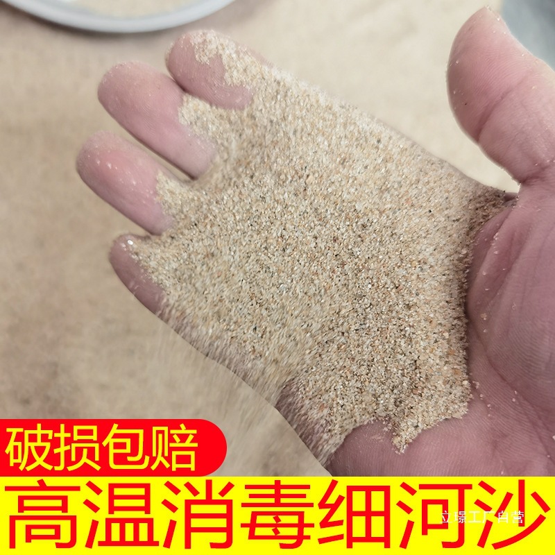 天然河沙种植沙乌龟冬眠鱼缸造景水泥沙子石英砂玩具沙细沙粗沙