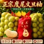 仙游福建孕妇新鲜蜜柚