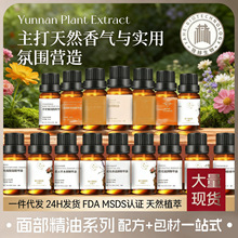 �S���沿��Ħ����Ժ�����B�w�������ͱ���������w���ʹ��ӹ�