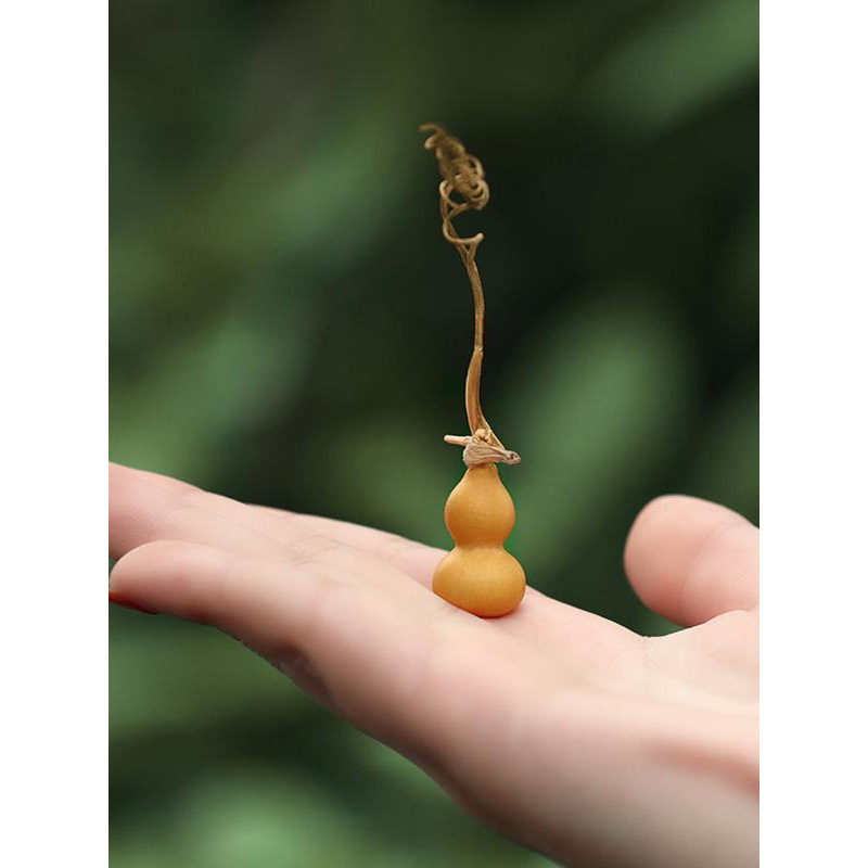 葫芦籽种大全四季播种文玩瓢手捻小葫芦籽孑爬藤盆栽八宝葫芦种子