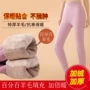 东北高腰特厚女士棉裤
