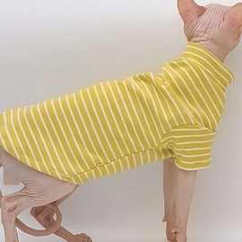 春夏秋冬新款猫咪条纹毛猫四脚衣服斯芬克斯防掉德文宠物柔软背心