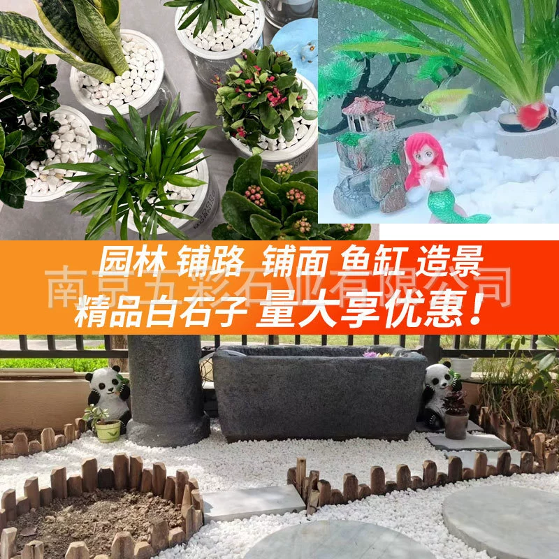 Натуральный белый камень, галька, белый камень, садоводство, горшок, камень, мясистый, тюльпан, благоустроение двора