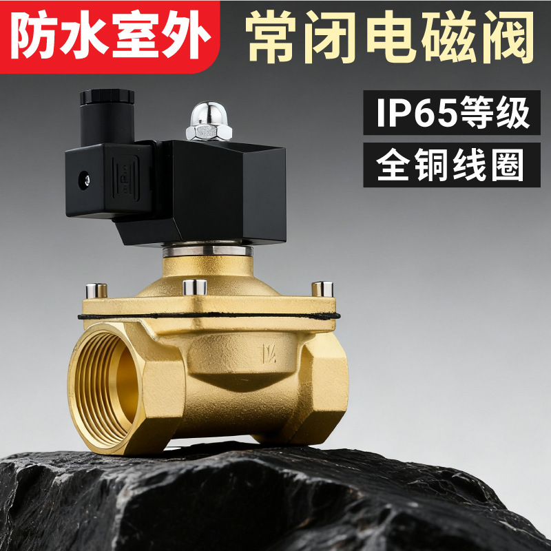 Outdoor waterproof solenoid valve water valve switch valve 220VDC24V air valve drainage anti-fog DC12V4 points 6 points in stock