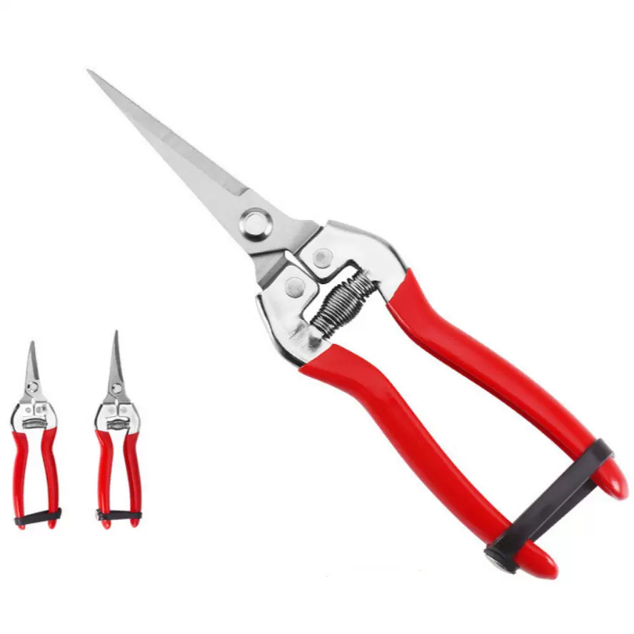 工厂不锈钢果树修枝剪园艺果园修花剪园林树枝摘果剪枝头剪刀枝条