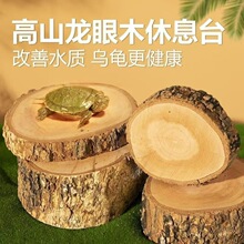 ��Ȼ�A������ľ�՞�����Ϣ̨��������ľ�^�b���̨��������