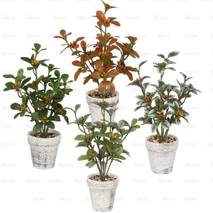 ��������Сͩ������{���� ���R�d�Ҿ��b�Ʒ����Gֲ�[��С�辰