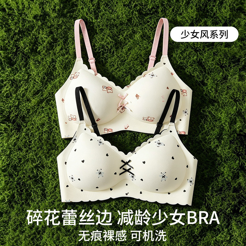 New style, small-bust push-up bra, sweet and youthful design, breathable, prevents sagging, gathers side breasts, comfortable and seamless, women's bra New style, small-bust push-up bra, sweet and youthful design, breathable, prevents sagging, gathers side breasts, comfortable and seamless, women's bra