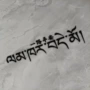 驾驶防水新手个性警示贴