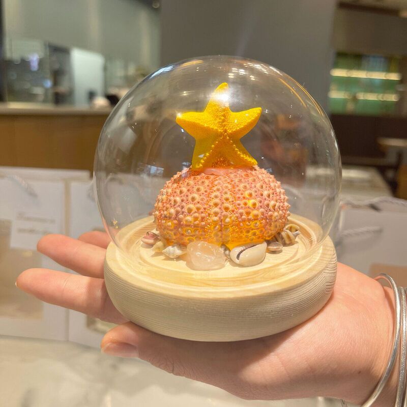 新年と春祭りの装飾品シェル DIY タコの殻発光ナイトライト素材パッケージガールフレンドへの誕生日プレゼント|undefined