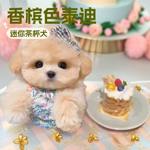 ���N̩��Ȯ��Ȯ���wС��С��̩�����̌��ﹷ���㙉ɫ����豭Ȯ