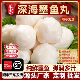 潮汕墨鱼丸 麻辣烫食材丸子 关东煮半成品食材 火锅食材丸子