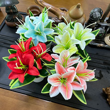 滨ٺ辰ٺϽϼٻוҾbС