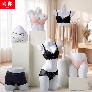 ����ģ�ص���Ů�а��톡�����؃�ѝ���ϼ����w����չʾ��м�ģ��