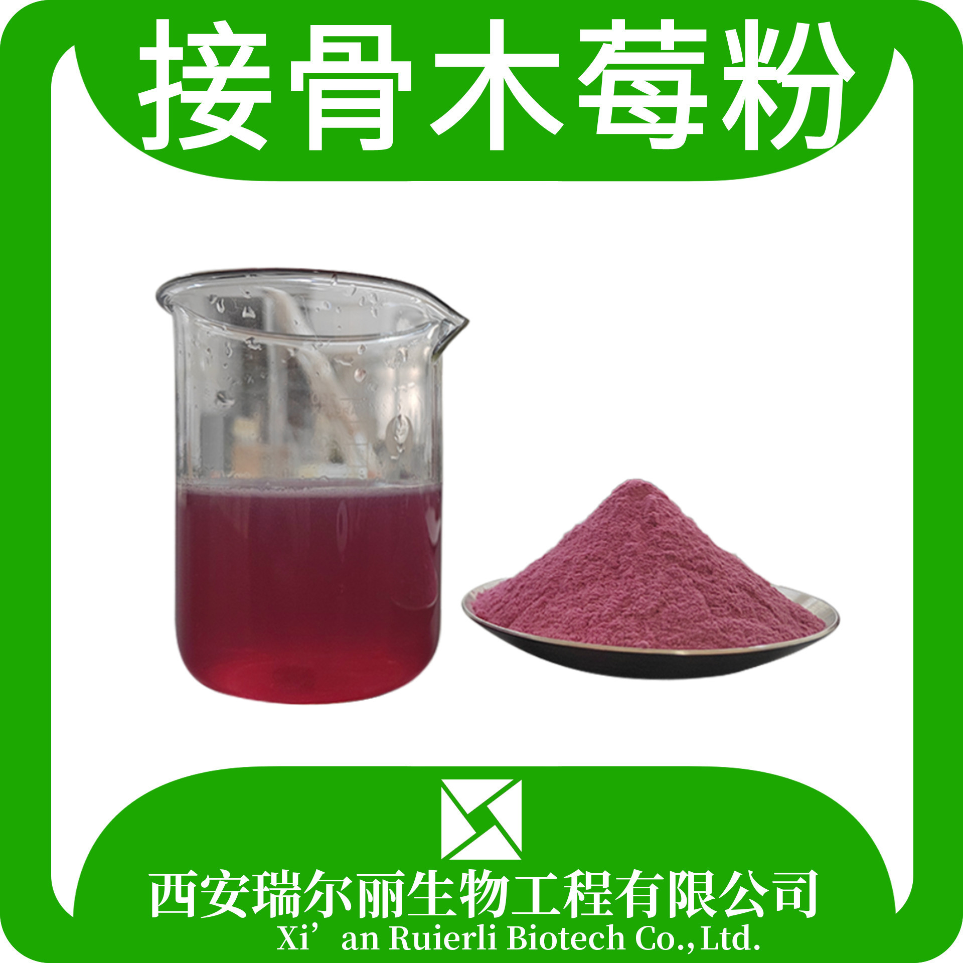 接骨木莓果粉果蔬粉接骨木莓果汁粉水溶原料果粉接骨木莓粉