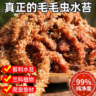 �����M��ëë�xˮ̦���Ǹ�̦�\�����m�������|�������߉|��