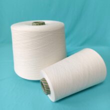 OE�޼� �F؛���16S �C������ �l�ɾ��� ��ƯȾ