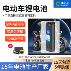 折叠电动车48V锂电池大容量代驾车专用海霸款电动自行车电瓶通用
