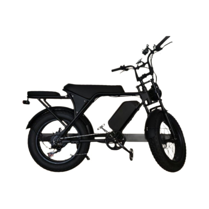 Almacenamiento en el extranjero un agente de venta de 20 pulgadas motocicleta eléctrica de larga duración motocicleta eléctrica de nieve
