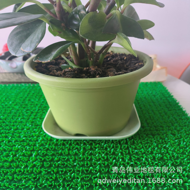 小绿草
