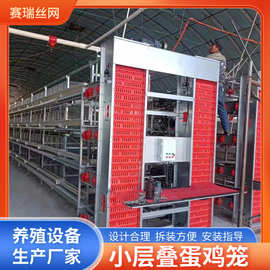 层叠式框架全自动清粪捡蛋养鸡设备 H型小层叠蛋鸡笼 3层/4层鸡笼