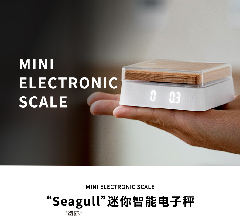 电子秤_01