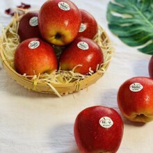 �����m�M��miniС�O���tõ�弧�ȹ�������ţ�DС���������Y�����l