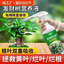 ϡጰlؔ䌣àIBҺֲX仨ܾGֲS~