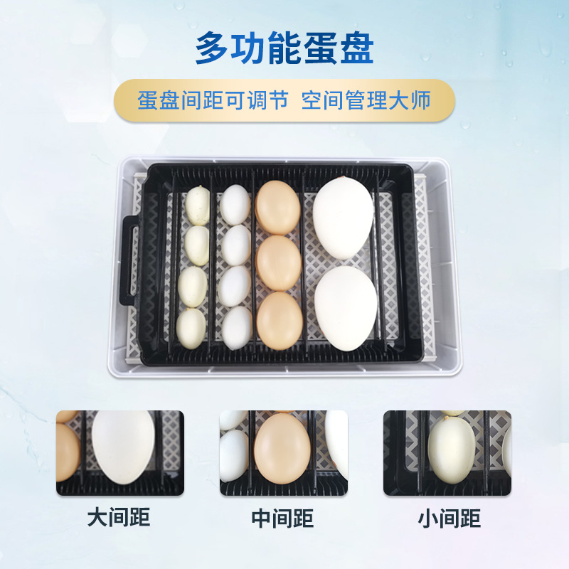 15 automático pollo caja de cría pato codorniz pájaro huevo incubadora hogar incubadora huevo incubadora