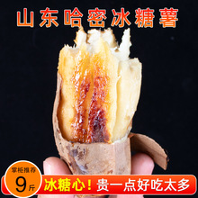 ɽ�|���ܱ��������r�����������ļt�������r���ԷNɳ�ط��ع�9��