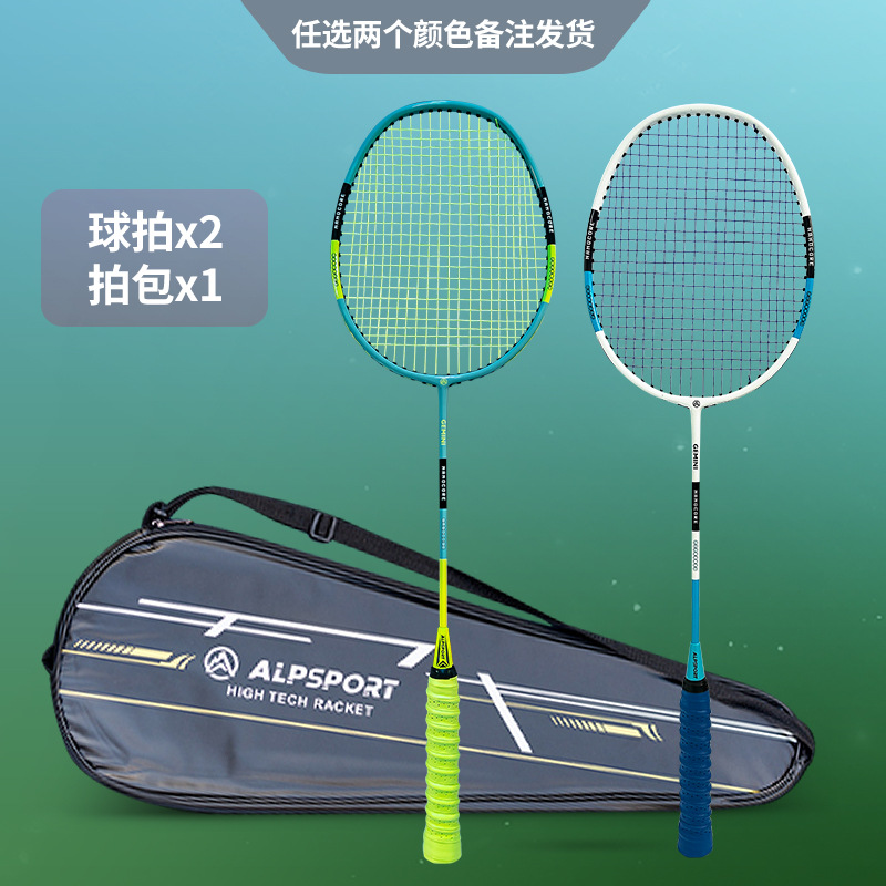 제미니, 2개 선택 [무료 슈팅백]