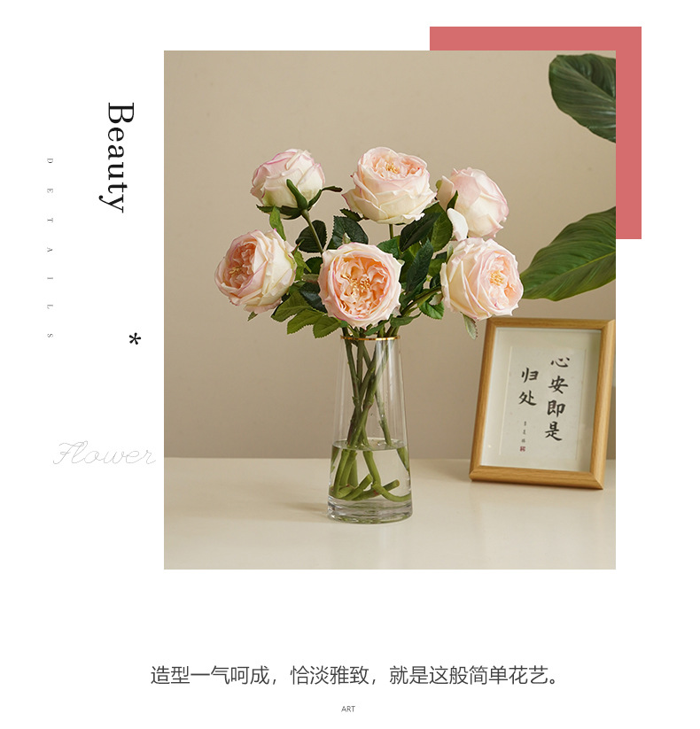 单枝奈斯玫瑰_08.jpg
