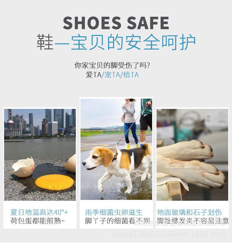 微信图片_20221025194845.jpg