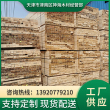 天津北京河北厂家供应 现货 建筑木方白松樟松南方松厂家加工