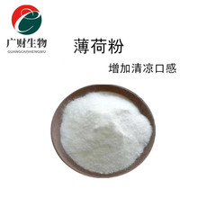 薄荷粉 食品级调味剂 薄荷提取 清凉 水溶性 薄荷粉