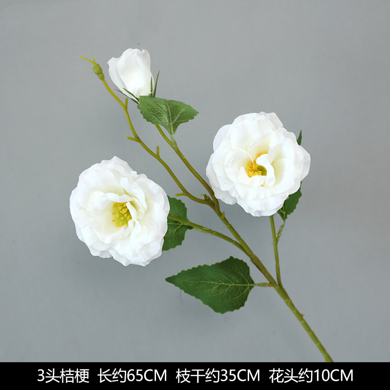 3 -headed bellflower white