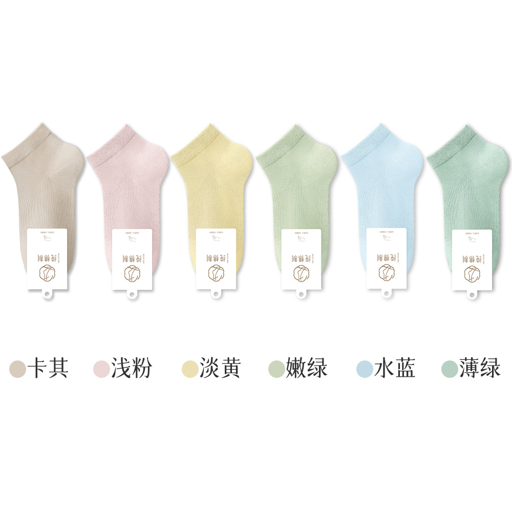 조합 4: 카키스 라이트 파우더 라이트 옐로우 그린 워터 블루 얇은 그린