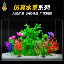 �~���쾰ˮ�ݷ���ˮ�ݺɻ�����ˮ�݈@ˇ�쾰�~�ה[���~��ˮ��ֲ��