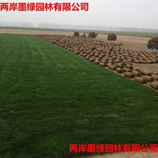 �����ݶ�������ƺ�N�Ӹ���é�����o�¾G�������ļ������ͺ��ݷN��