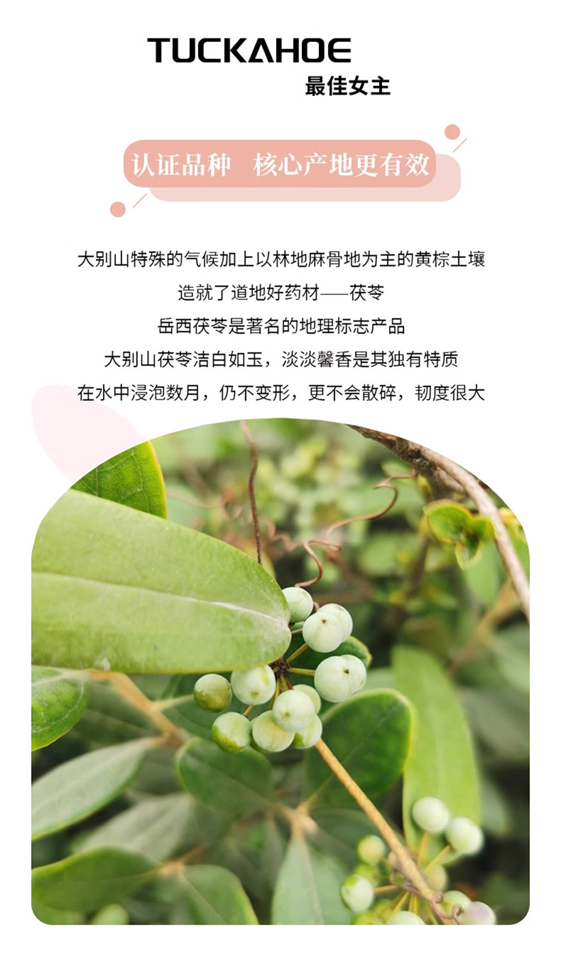 Dried Poria Fu Ling Cubes 500g Bulk White Poria Sclerotium Pieces for Decoction Soup and Tea key features