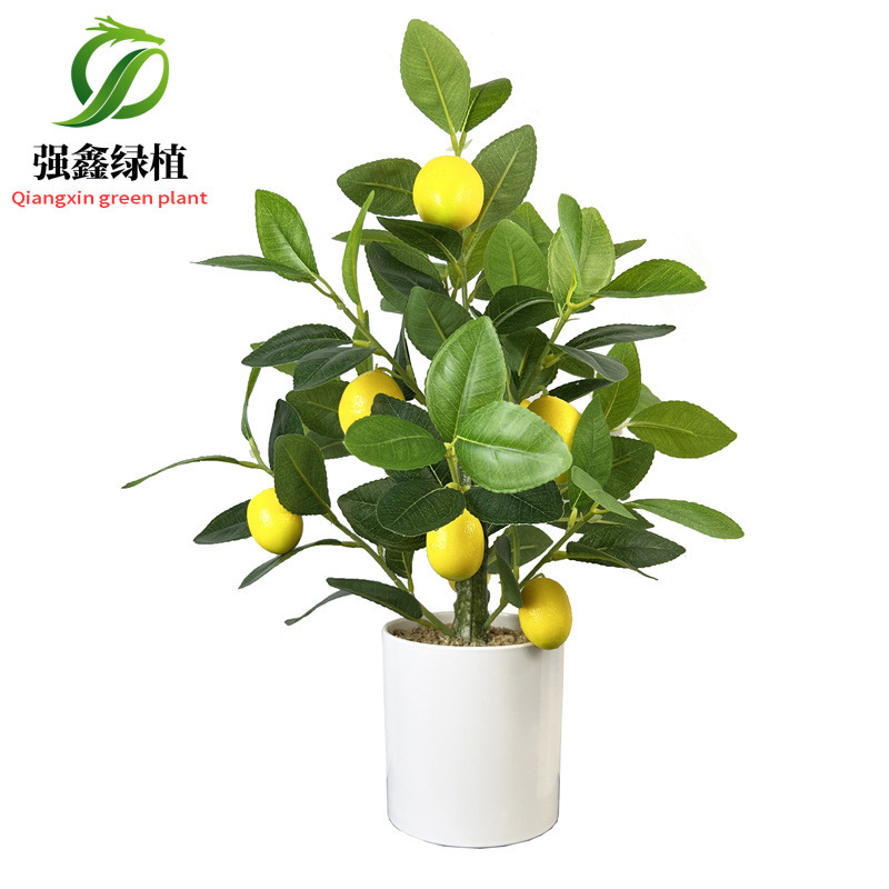 Planta de simulación de interior eucalipto árbol falso bonsai sala de estar decoración del suelo hoja de dinero falsa planta verde adorno en maceta image 45