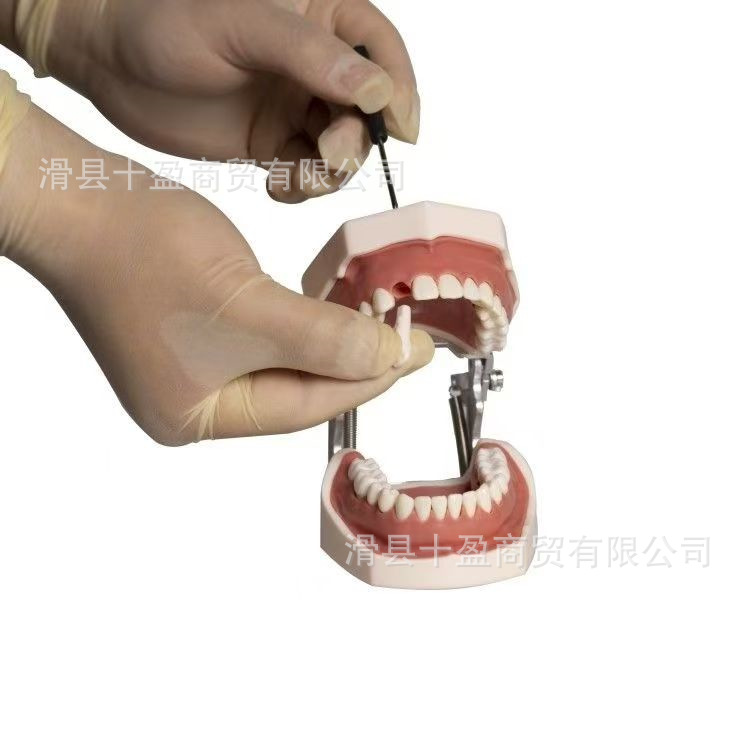 bc0977036927723ff99f6a199fec85